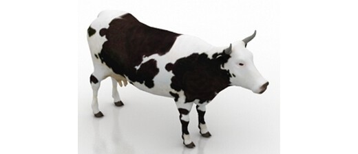 奶牛模型下载