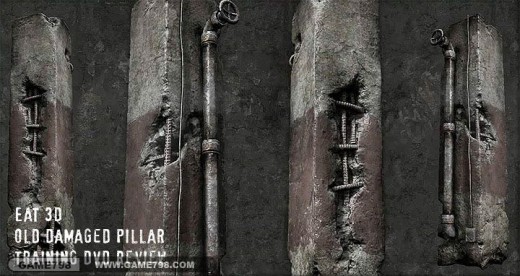 Review: Eat 3D Old Damaged Pillar - Training DVD